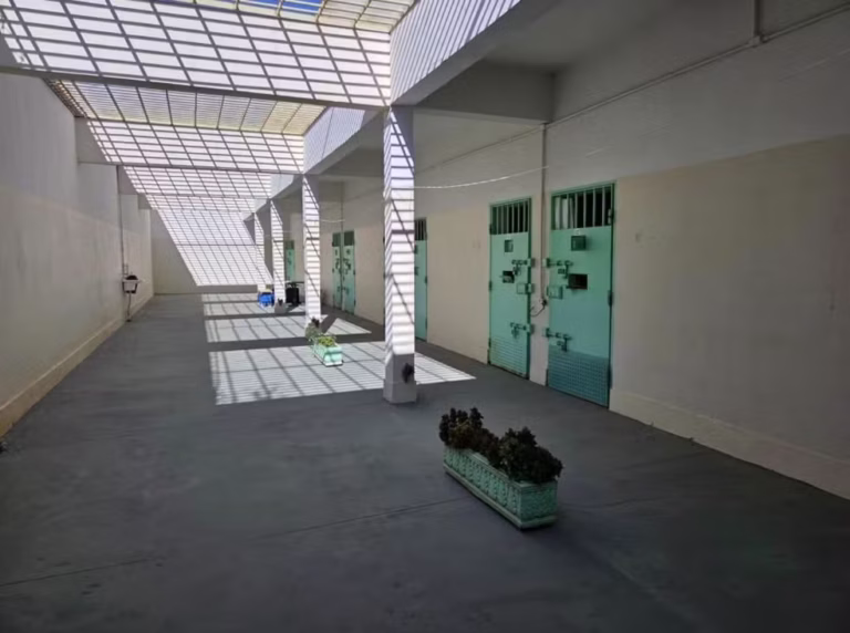 CAOS NA JUSTIÇA: O Caso Deolane e Prisão VIP! Juiz Nega Soltura Após Irmã Tentar Enganar o Brasil!