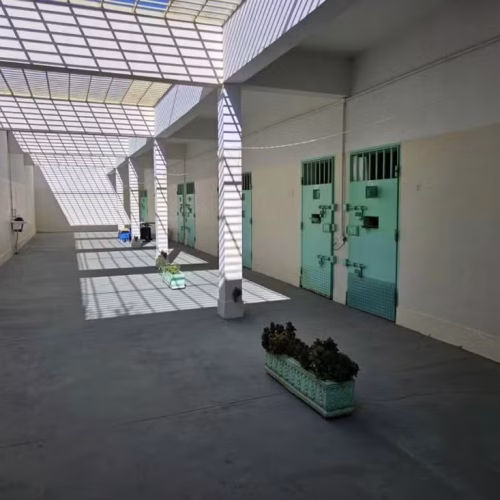 CAOS NA JUSTIÇA: O Caso Deolane e Prisão VIP! Juiz Nega Soltura Após Irmã Tentar Enganar o Brasil!